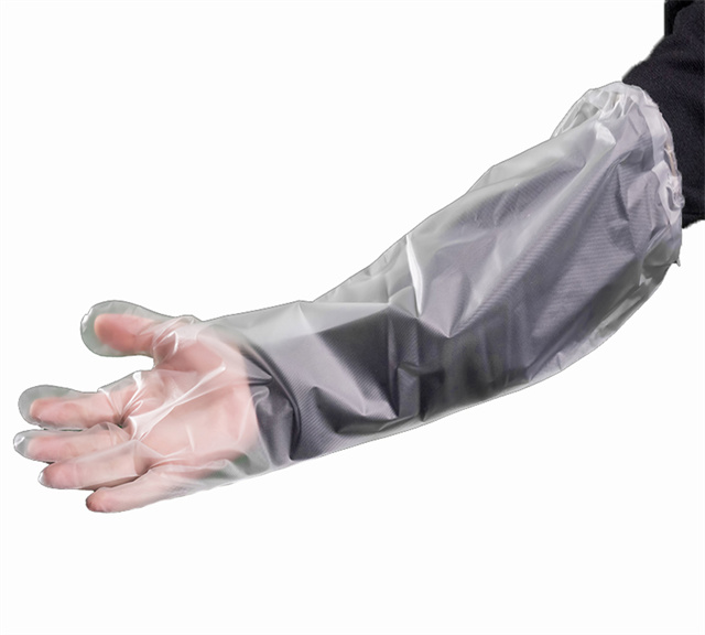 Clear CPE elbow length glove with elastic band